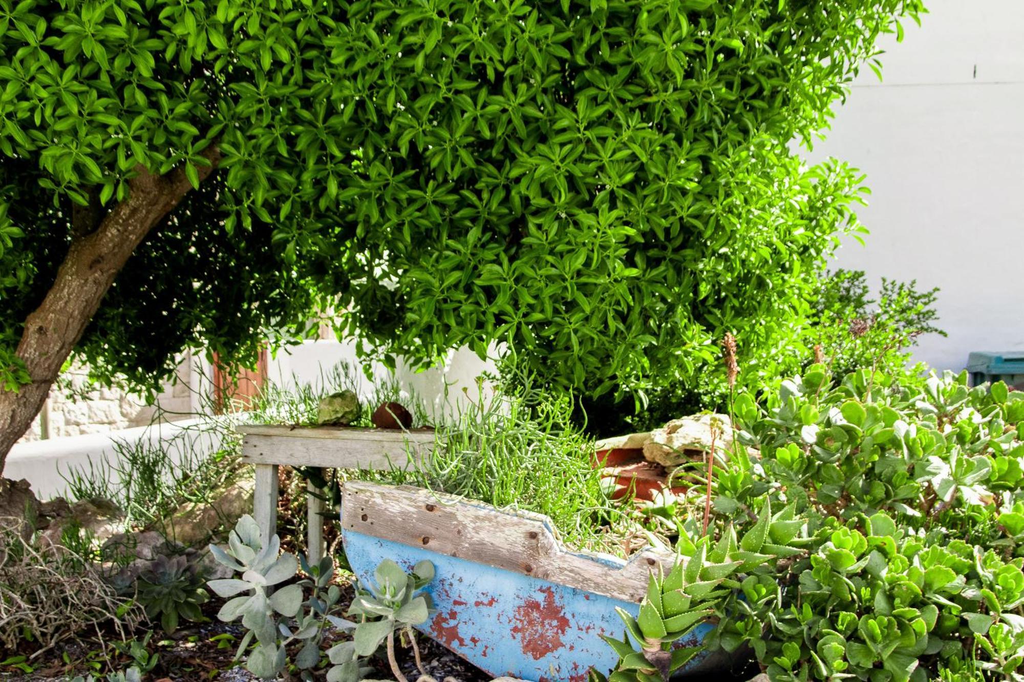Hocus Pocus Cottage Paternoster Luaran gambar