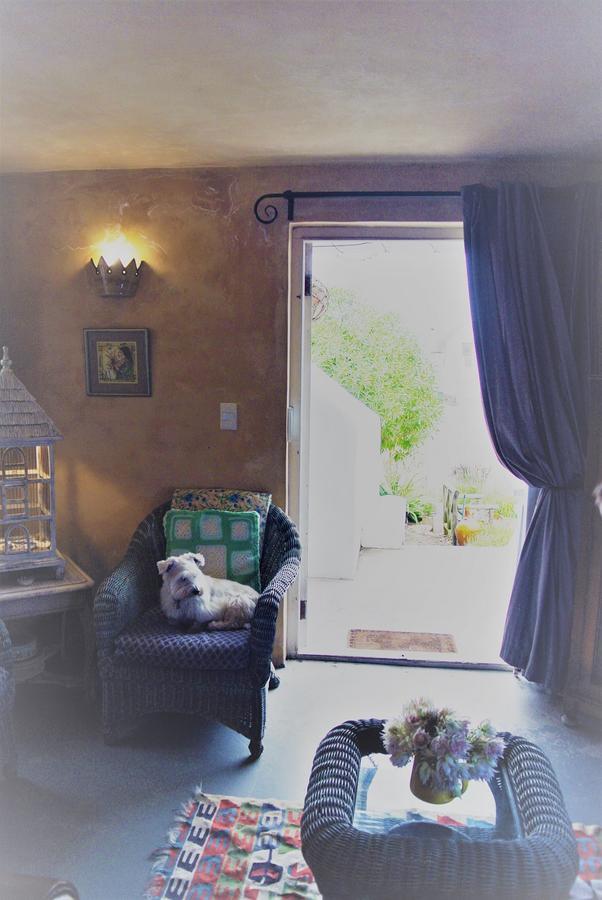 Hocus Pocus Cottage Paternoster Luaran gambar
